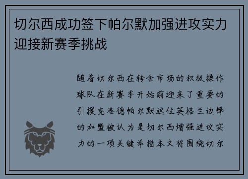 切尔西成功签下帕尔默加强进攻实力迎接新赛季挑战